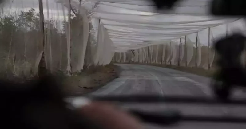 Hurda balıkçı ağları, Ukrayna nın SİHA kalkanına dönüştü