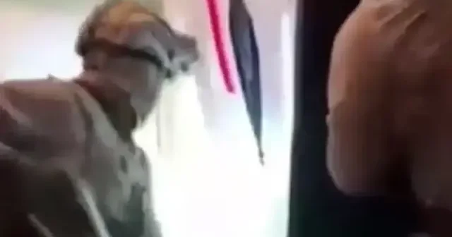 24 ilde siber suçlara yönelik operasyon ; 68 şüpheli tutuklandı VİDEO İZLE