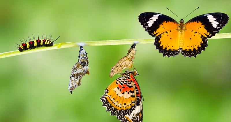 Yeni araştırmaya göre ergenlik 30 lu yaşların başına kadar devam ediyor