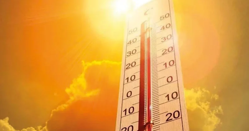 İklim krizinde hastalık tehdidi... Dünya 2.5 derece ısınacak