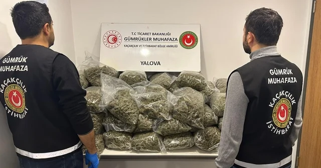 Fransa dan Yalova ya gemiyle gelen tırda 37 kilo uyuşturucu ele geçirildi Yalova Haberleri