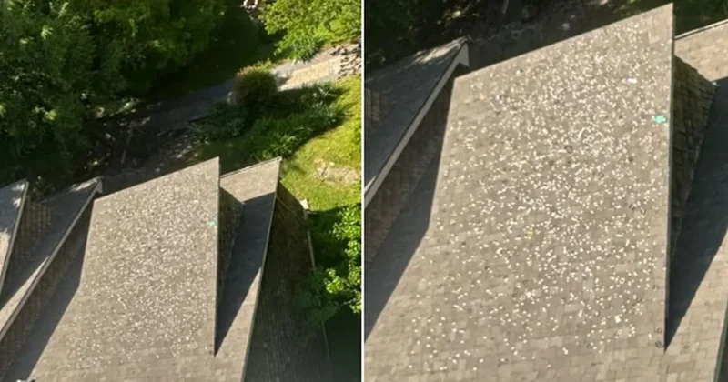 Evinin üstünden geçen hat sayesinde zengin oldu: Çatısına gökten para yağıyor Sözcü Gazetesi