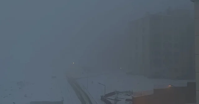 Yüksekova da yoğun sis hayatı felç etti Görüş mesafesi 5 metreye düştü, araçlar far yakarak ilerleyebildi Hakkari Haberleri