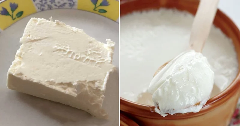 Süzme peynir veya yoğurt, hangisi en sağlıklıymış ortaya çıktı Sözcü Gazetesi