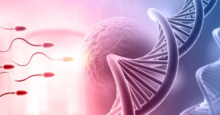 Erkeklerde de baba olmak için ‘riskli’ yaş var! ‘Sperm hasarı çocuğun ilerideki sağlığını dahi etkiliyor’ I 5 SORU 5 YANIT