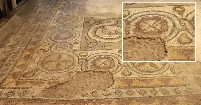 Sinop ta 1600 yıllık mozaikler gün yüzüne çıktı: Ziyaretçi merkezinde sergilenecek Sinop Haberleri