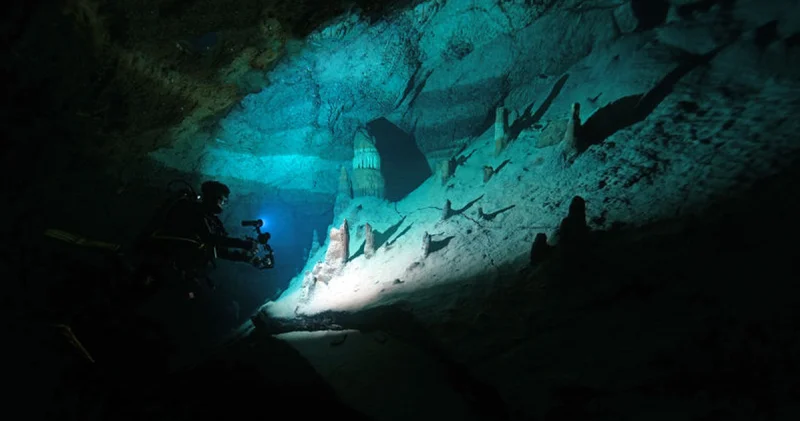 Doğu Akdeniz in renkli dünyası görüntülendi