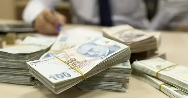 Vatandaşlık maaşı geliyor! Tarih resmen duyuruldu! Önce birkaç il sonra tüm Türkiye de!