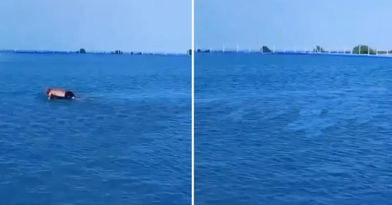 Görenler ilk başta havuz sanıyor! Gerçek bambaşka çıktı