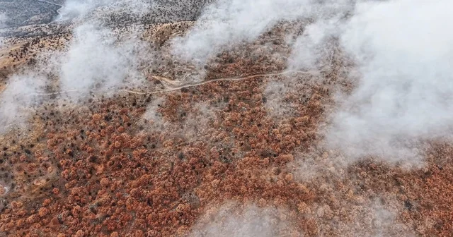 Çankırı da sis ve kızıla bürünen ormanların buluşması mest etti Çankırı Haberleri