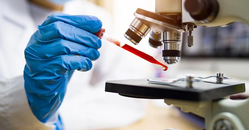 Türk bilim insanları başardı: Bakteri dışarı haber verecek