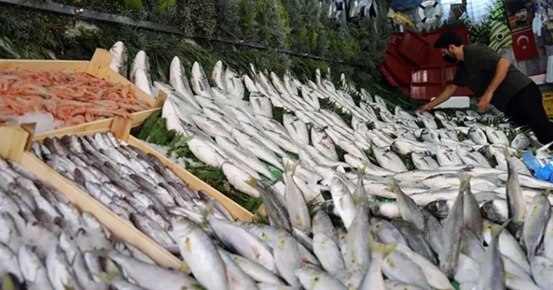 Doktorlar bile şaşırdı: İşte bağışıklığı çelik gibi yapan 5 balık