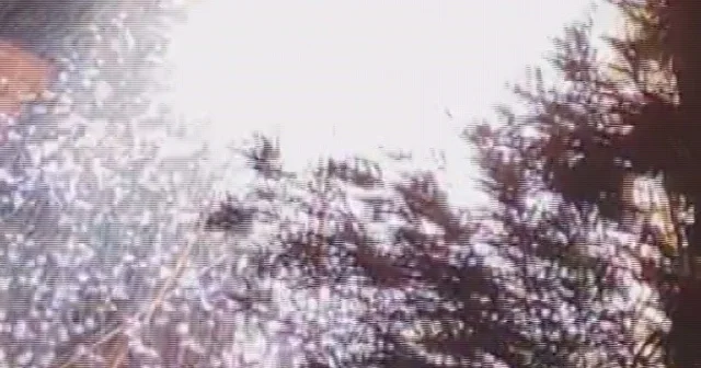 Elektrik kablolarında yaşanan patlama geceyi gündüze çevirdi Hatay Haberleri