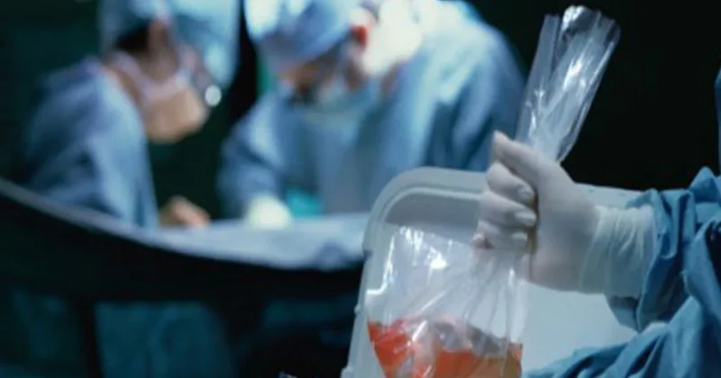 Hastaya nakledilen böbrek kuduzlu çıktı: Hayatı son buldu Sözcü Gazetesi