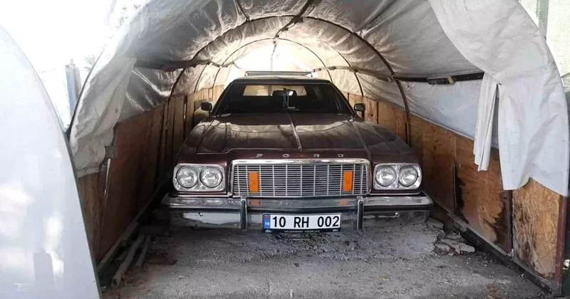 Bu serada ne sebze ne de meyve değil klasik araba yetişiyor