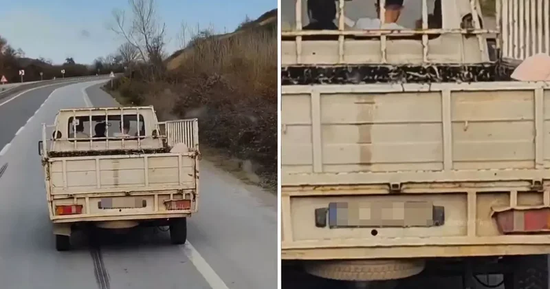 Kamyonun kasasında gördüğü manzaraya isyan etti: Ufacık çocuk ya, şuraya bak