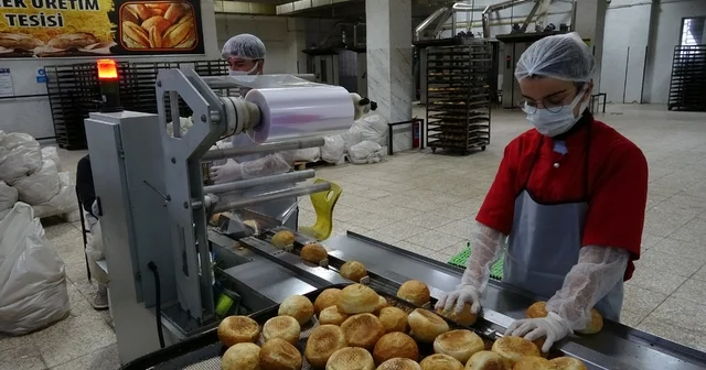 Fabrika gibi çalışan lisenin yıllık cirosu 1,5 milyon Fırın değil okul: Günde 25 bin ekmek üretiliyor, yıllık ciro 1,5 milyon Gaziantep Haberleri