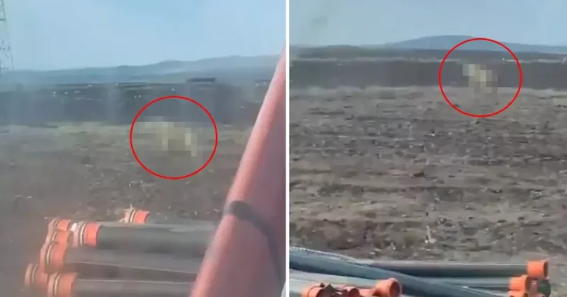 Sivas ta tarlasını süren çiftçiyi ürküten görüntü