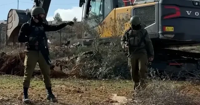 Hiçbir canlıya saygıları yok: İsrail Nablus’ta yüzlerce zeytin ağacını kökünden söktü VİDEO İZLE