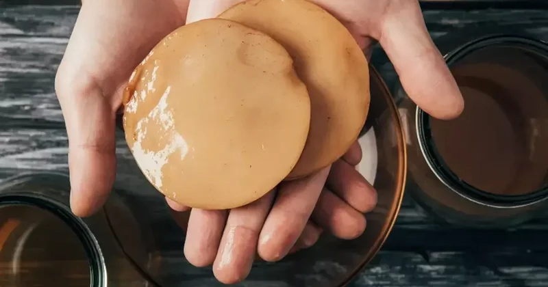 Bağırsakları etkili çalıştırıyor, karaciğerden toksinleri hızla atıyor!