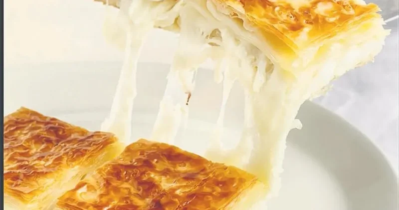 İDİL AÇIKALIN Yapımı zor yemesi kolay su böreği