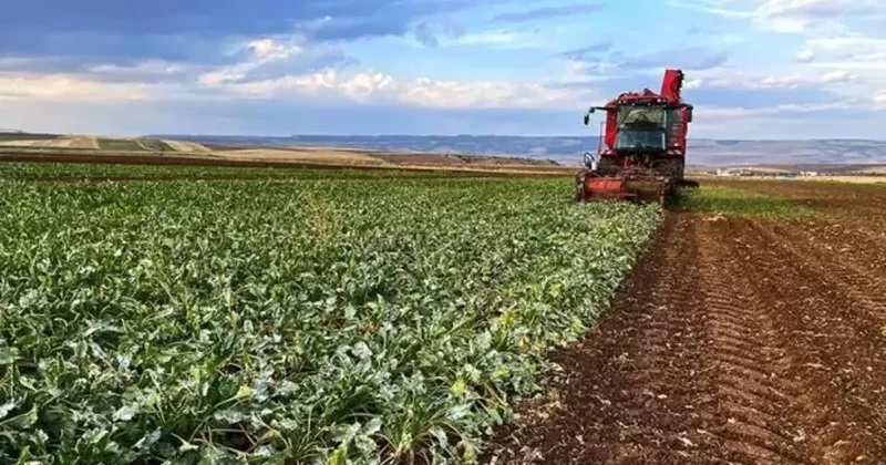 Türkiye tarımda dünyaya meydan okuyor!