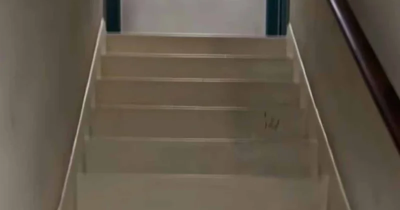 Merdivenin bir yarısı parlak ve beyazken, diğer yarısı soluk ve kirli... Nedenini öğrenen şaşkınlığını gizleyemiyor Sözcü Gazetesi