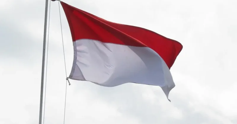 Endonezya Grok u geçici olarak engelledi