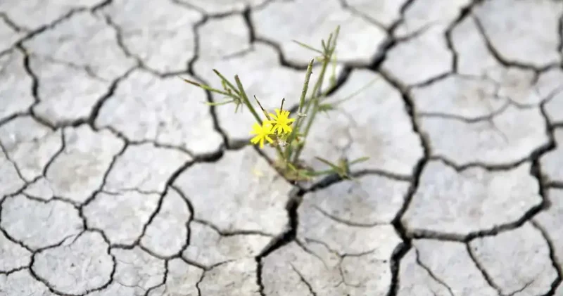 Türkiye de kuraklık: Kent kent su kaynaklarının durumu