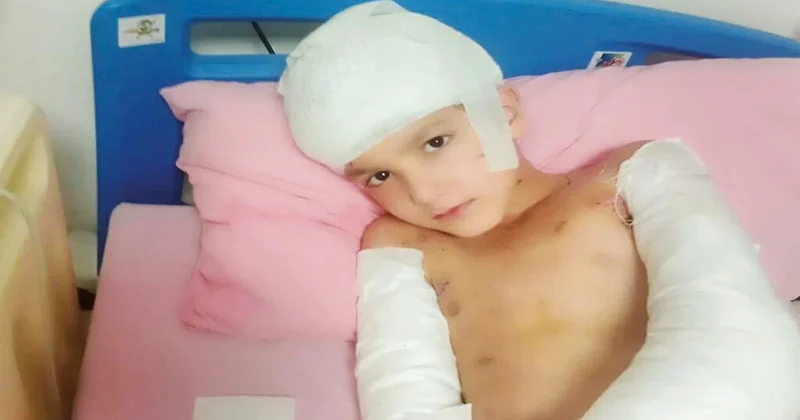 Başıboş köpek dehşetine 5 milyon TL tazminat