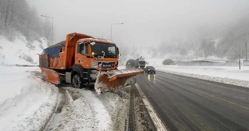 İsveçliler karla kaplı yolları pekmezle açıyor! İşte nedeni Sözcü Gazetesi
