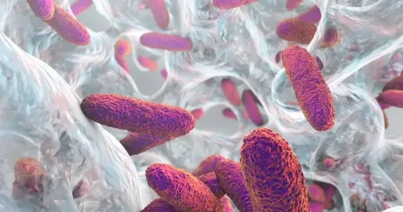 Kendiliğinden sarhoş: Bağırsakları kendi kendine alkol üreten adam, dışkı nakliyle iyileşti!