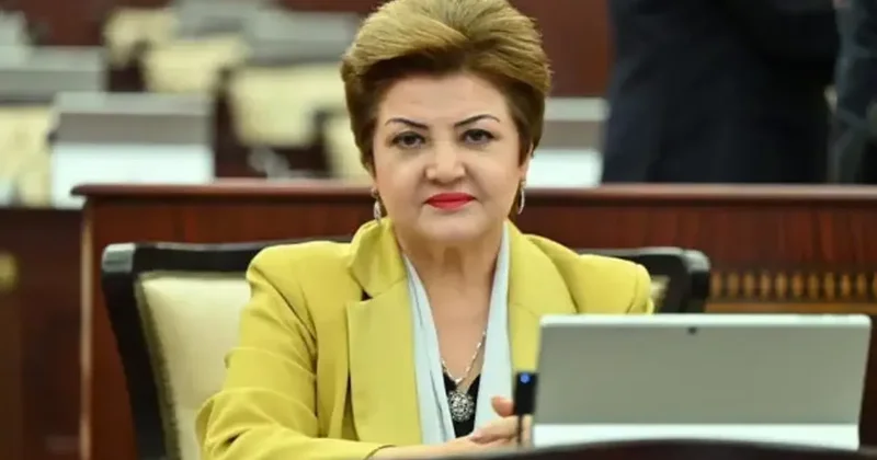 Tenzile Rüstemhanlı yazdı: Bir düşman tweeti Türkiye’yi tek yumruk yaptı