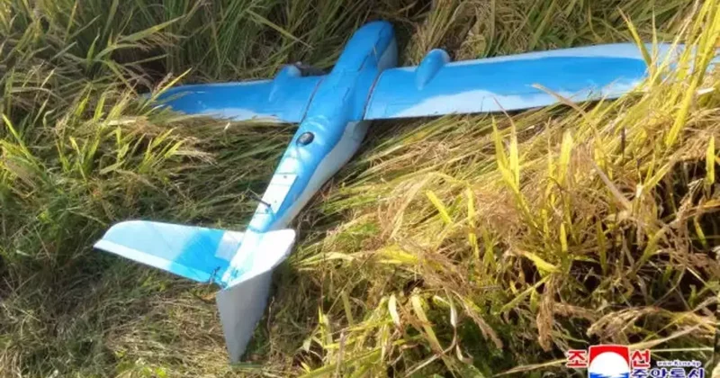 Kuzey Kore casus İHA düşürdü: Ağır bedel ödeyecekler