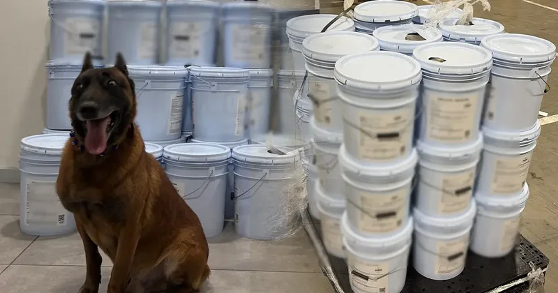 İstanbul da ele geçirildi: Ağırlığı 564 kg, değeri 1 milyar 945 milyon lira!