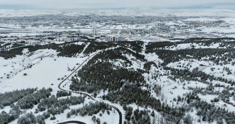 Kardeşler Ormanı ndan karlı Sivas manzarası
