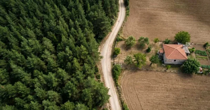 Ormandan çevrilen araziler için ödeme süresi uzatılıyor