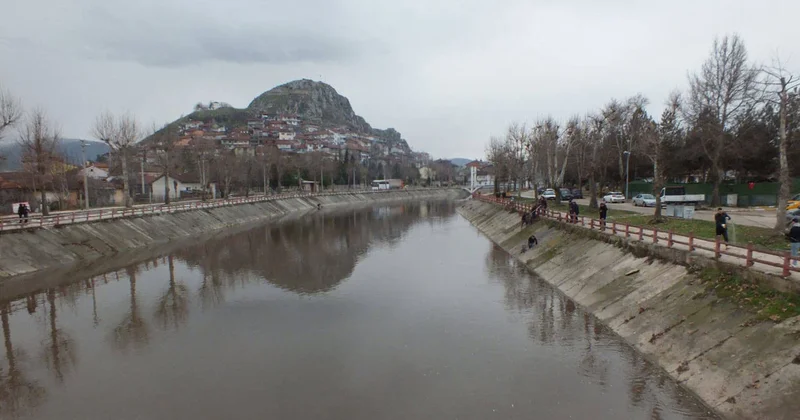 Tokat Yeşilırmak ta balıklar kıyıya vurdu