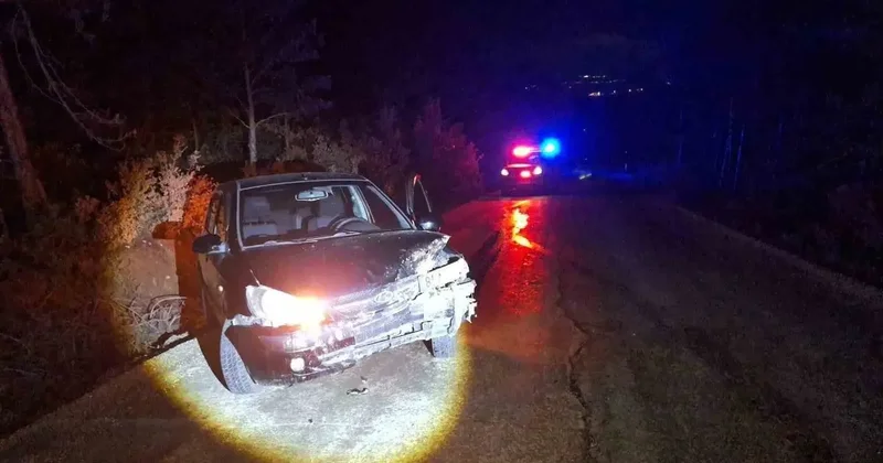Bilecik’te kontrolden çıkan otomobil ağaca çarptı: 1 yaralı