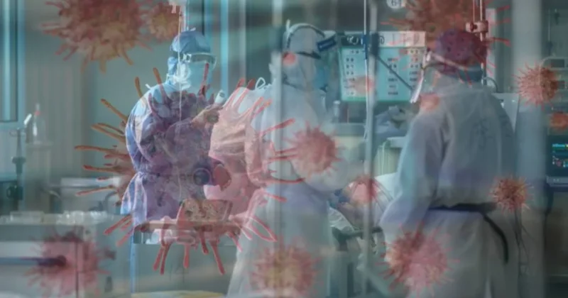 Yarasa kaynaklı yeni salgın hızla yayılıyor: Ölüm oranı çok yüksek, aşı ve tedavisi yok Sözcü Gazetesi