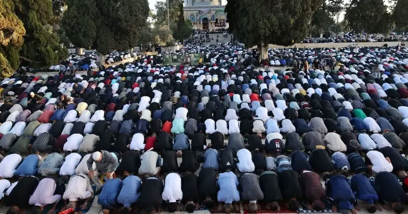 Teravih kılınışı: Teravih kaç rekat, nasıl kılınır? Adım adım cemaatle teravih kılma! Dini Bilgiler