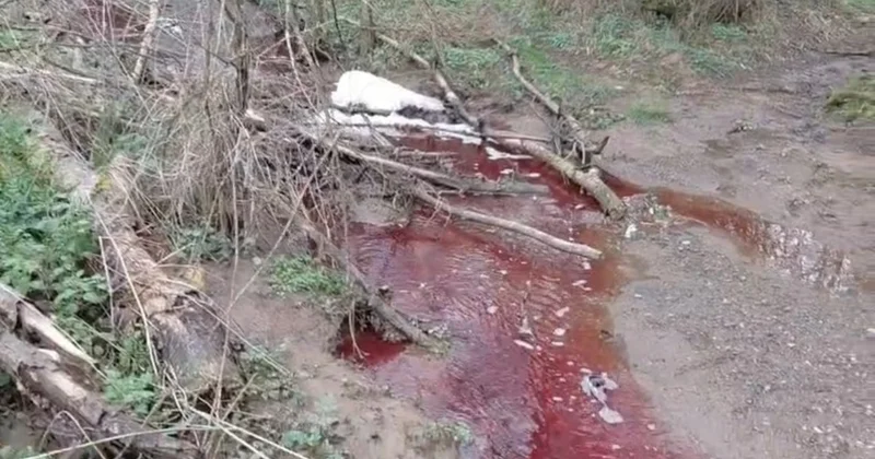 Ömerli Barajı yakınında kırmızı renkli akan dere tedirginliği Sözcü Gazetesi