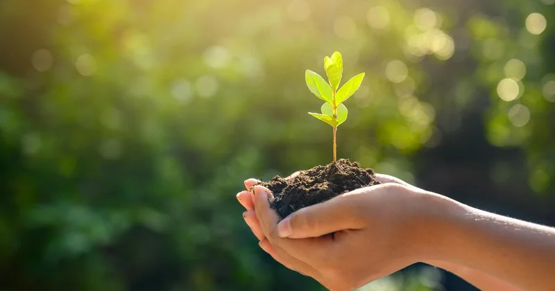 Erzurum da Uzlaştırma Ormanı oluşturulacak