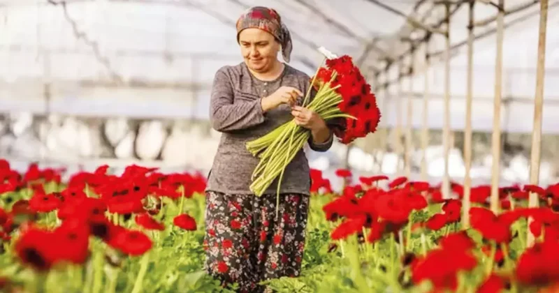 Sevgiliye çiçekler Antalya’dan gitti