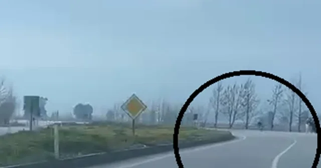 Akrobatik hareketler yapan motosiklet sürücüsü tarlaya uçtu Hatay Haberleri