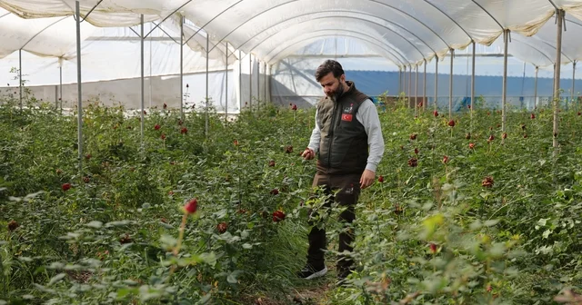 Adana da sevgililerin gülleri dalında kurudu Adana Haberleri
