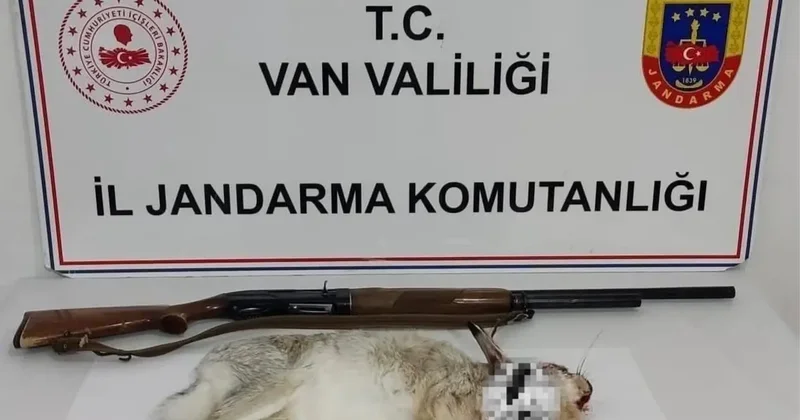Van’da tavşan avlayan şahsa 29 bin TL ceza