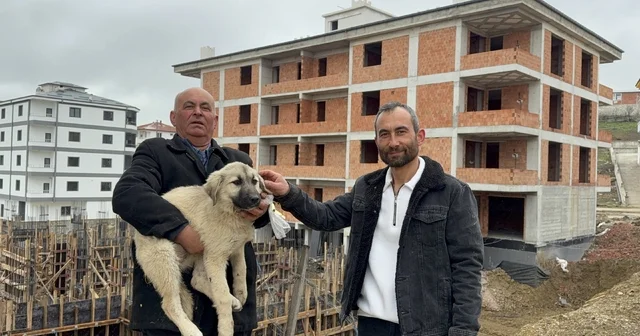 Baba oğul, çatıda ölümün eşiğindeki yavru köpeği kurtardı Samsun Haberleri