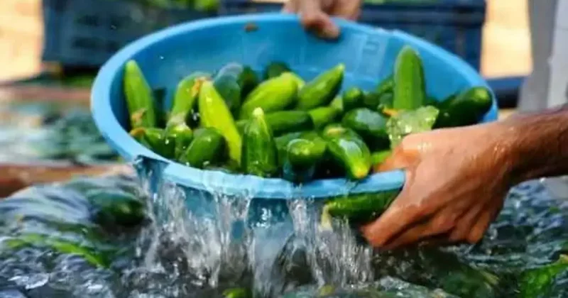 Bu zammın izahı yok! Yüzde 141 fiyat artışı isyan ettirdi BU işte bir HALLER var