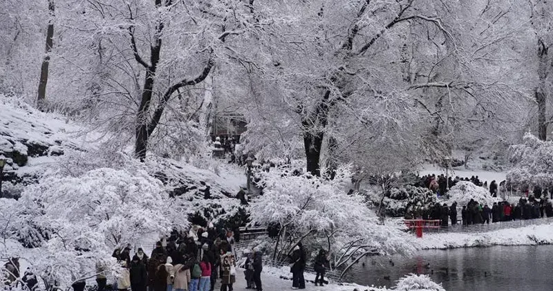 New York’ta soğuk hava nedeniyle 18 kişi hayatını kaybetti
